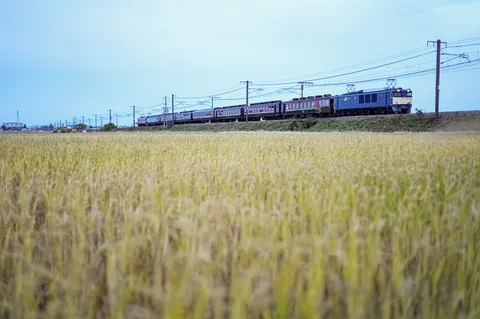 田んぼと列車、どっちが主役？