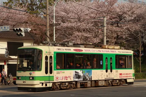 春爛漫、桜と電車