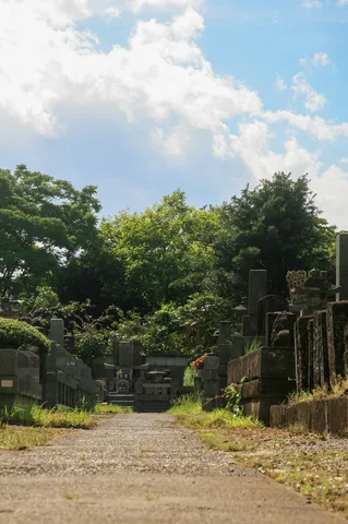 緑に包まれた墓地の小道