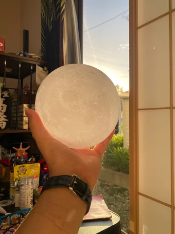 我が家の月、いかがですか？