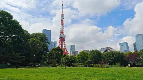 東京タワー、まさかの公園デビュー