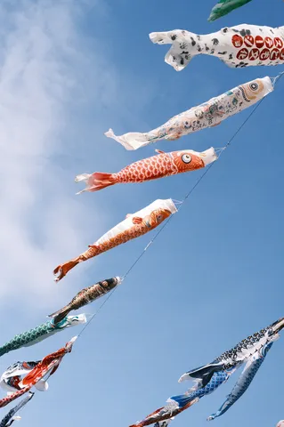 空を泳ぐ鯉たち