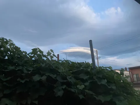 蔦と空を結ぶ風の線
