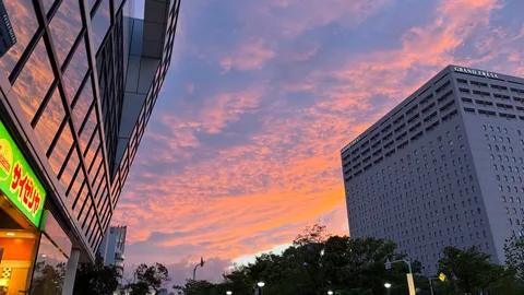 ビルの窓に映る、燃えるような空