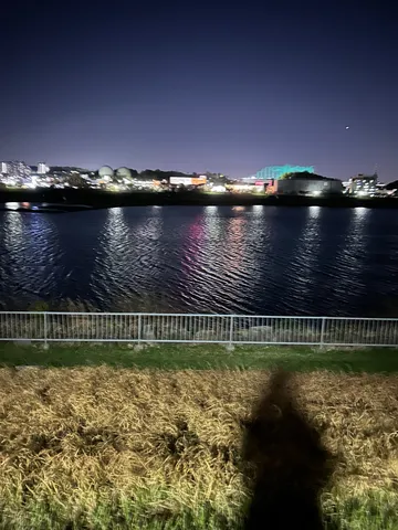 夜の川辺に映る光のささやき