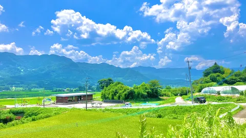 青い空と田園の風景