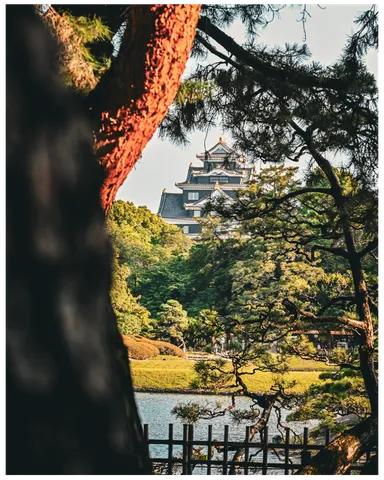 木漏れ日と古城のコントラスト