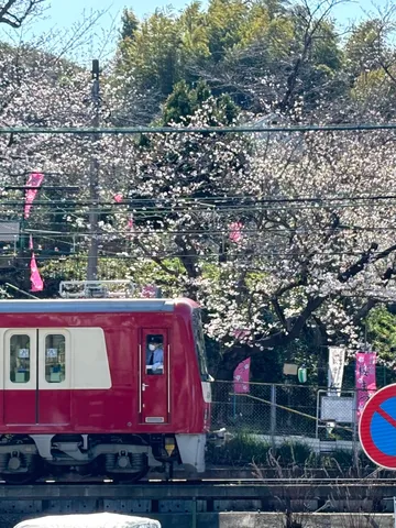 春を運ぶ赤い列車