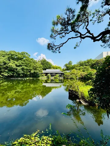 静寂の庭園、緑映る水面