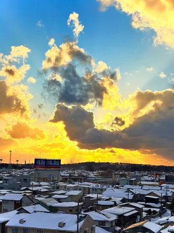冬空に燃える、希望の陽光