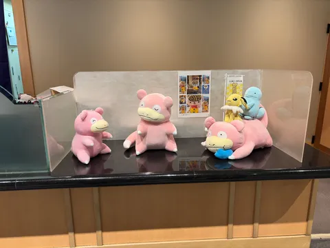ポケモンたちのまったり時間