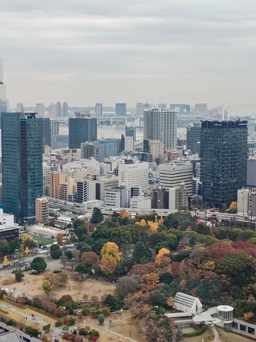 都会と秋色のコントラスト