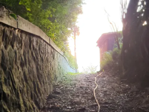 まばゆい光へ続く道