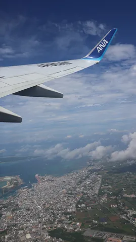空からの街並みと翼