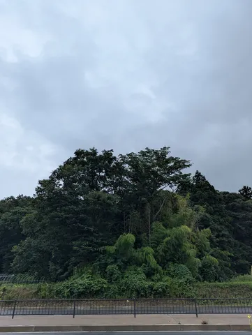 曇り空と緑のコントラスト