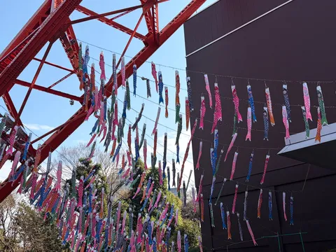 空を彩る鯉のぼりの群れ