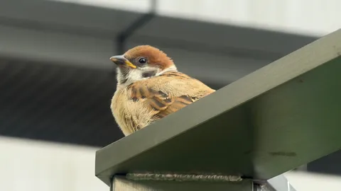 金属の棒にも、小さな命