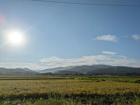 太陽、主役の座を譲らない田園