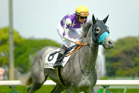 疾走する白銀の馬と jockey