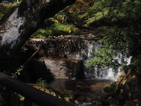 森と滝の静かな流れ