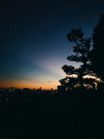 都市の灯りと夕空のグラデーション