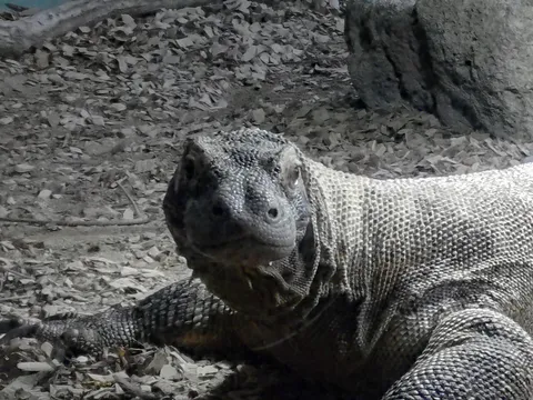 見つめる先は？