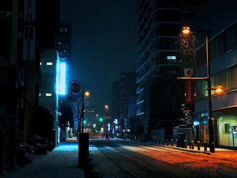 豪雪の北浦和