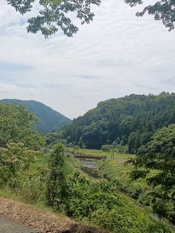 緑深き谷間の隠れ道