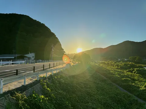 光と緑の道の輝き