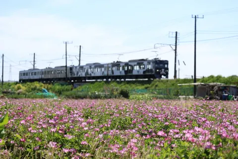 線路と花畑の交差点