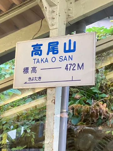 山頂への看板と緑の影