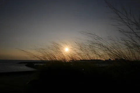 風に揺れる夕刻の海景