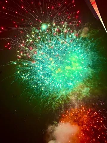 夜空に咲く緑と赤の華