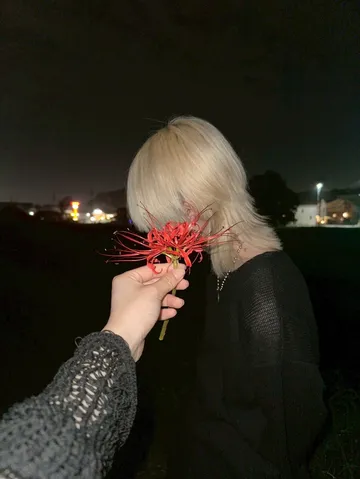 夜風に揺れる赤い花