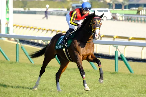 疾走する蹄、風を切り裂いて