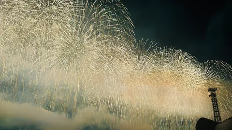 夜空を彩る光のシャワー