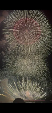 夜空に咲く光の花火