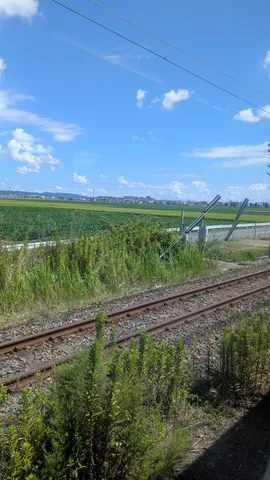 どこまでも続く、緑と空の旅