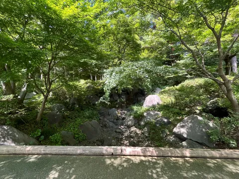 緑深き、石畳の小径