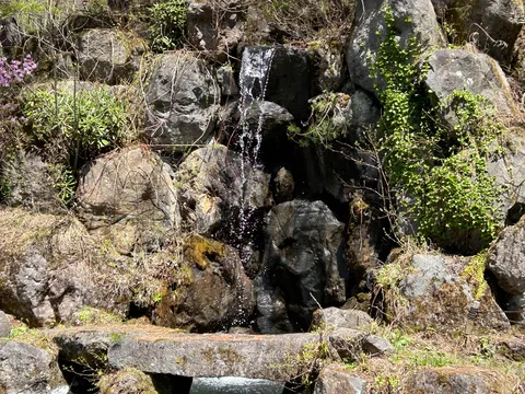 岩肌を伝う水のしずく