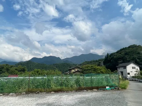 緑のカーテンと山並みのコントラスト