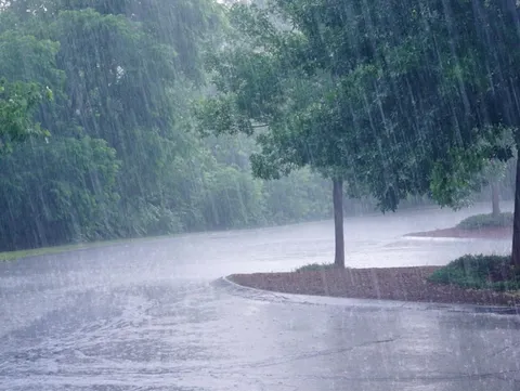 雨粒が踊る緑の風景