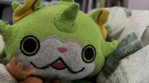 緑のぬいぐるみ、まったりタイム