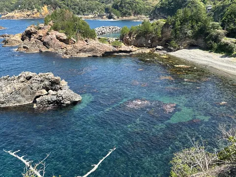 透明な水と岩影の岸辺