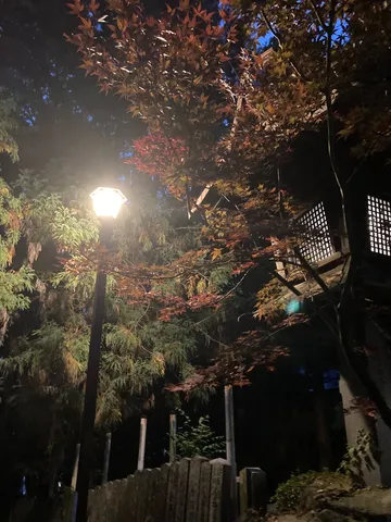灯火に染まる秋の小径