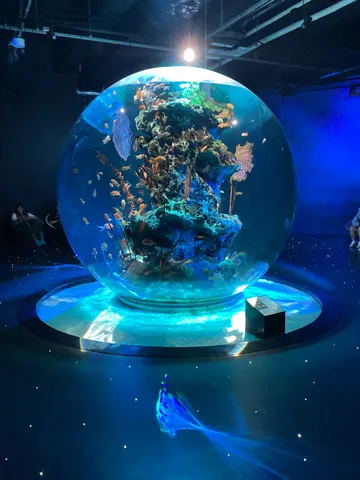 球体水槽に広がる幻想世界