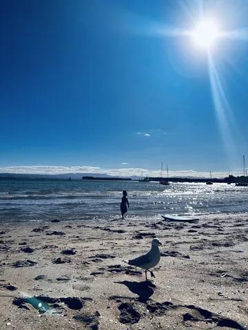 水辺の輝きと人影