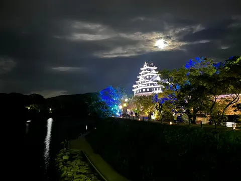 月夜に浮かぶ白鷺城