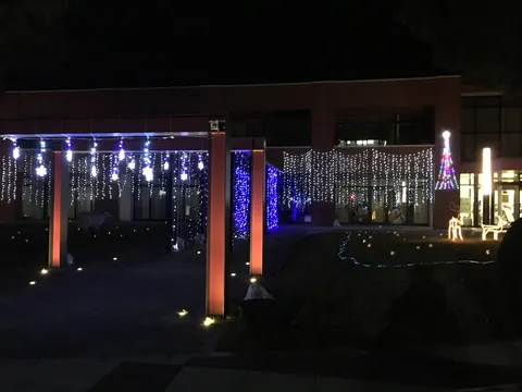 キラキラ光る電飾の夜景