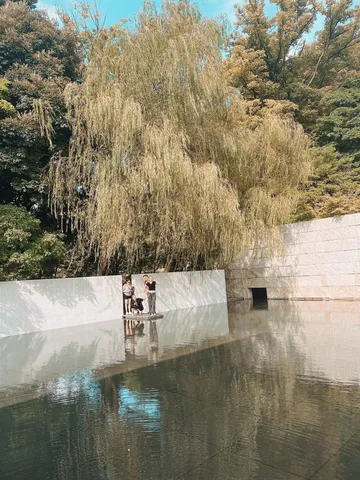 水面が映し出す、木漏れ日のアート